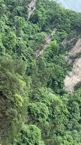 The video showcases a dense, green forest clinging to a steep, rocky cliff face. The cliff consists of layered rock formations, some with streaks of reddish-brown. Interspersed within the forest are glimpses of small structures and a winding path. Overhead, cables for a cable car system stretch across the scene, with cable cars visible in the distance. The video has a slightly shaky quality.