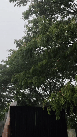 Heavy storm hits Aceh region, Indonesia with rain and winds