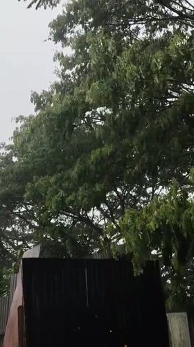 Heavy storm hits Aceh region, Indonesia with rain and winds