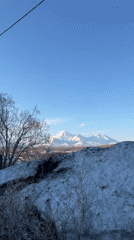 Morning snapshots capture Kamchatka mountain views and cat selfies