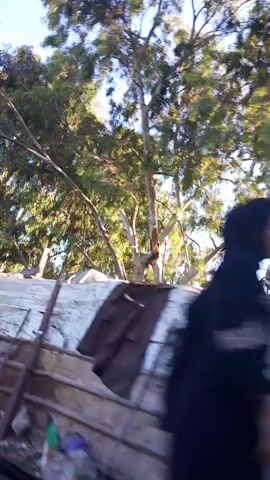 The video shows a view from inside a tent or makeshift shelter, looking upwards and outwards. The shelter appears to be constructed from fabric and possibly corrugated metal. Sunlight is visible, suggesting it is daytime. Lush green trees and foliage dominate the upper portion of the frame, with a clear blue sky peeking through the branches. The camera movement is shaky, indicating it is being held or moved by a person. There are no people visible within the frame. The overall impression is one of a rustic or temporary outdoor living space.