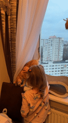Girl pets ginger cat by window in Murino