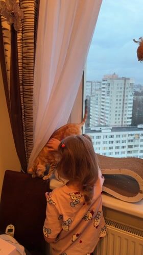 Girl pets ginger cat by window in Murino