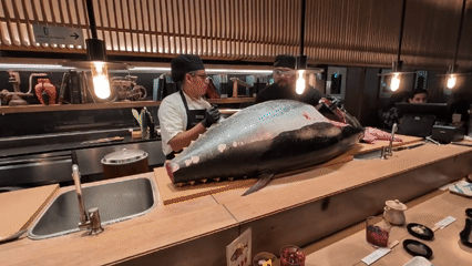 Sushi chefs prepare massive 6-foot tuna in Mexico City