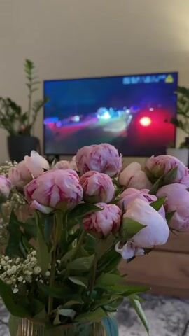 The video shows a close-up of a bouquet of pink peonies in a vase, with a television screen in the background displaying a colorful, abstract image or video. There are also green plants on either side of the television. The lighting is dim, suggesting it is nighttime or indoors with artificial light. The focus is on the flowers in the foreground, while the background is slightly blurred.