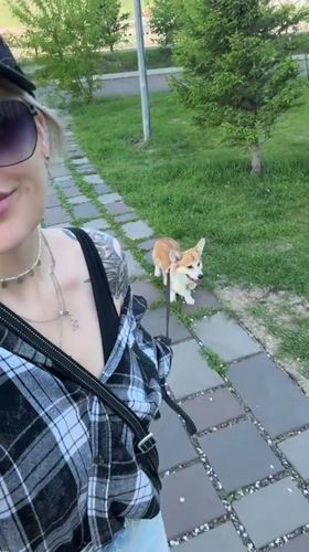 Woman films herself walking corgi in early morning Krasnoyarsk