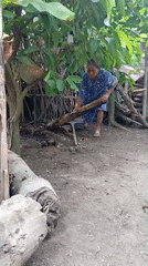 Rural activities and snake encounter documented in Baron, Indonesia