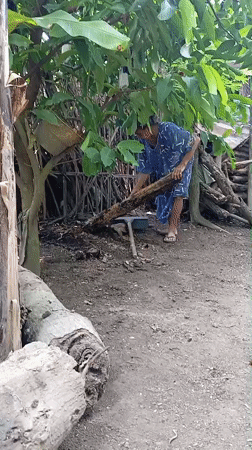 Rural activities and snake encounter documented in Baron, Indonesia