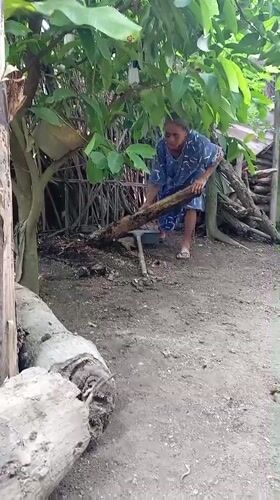 Rural activities and snake encounter documented in Baron, Indonesia