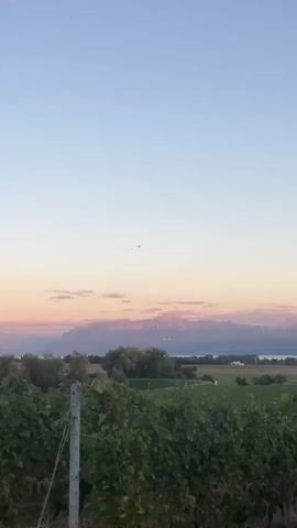 This is a vertical, handheld video of a landscape at dusk. The sky is clear and pale blue at the top, transitioning to soft pink and orange hues near the horizon. Scattered, wispy clouds are visible in the pink and orange areas. In the distance, a range of mountains is silhouetted against the colorful sky. The peaks of the mountains are illuminated by the setting sun, casting a warm, rosy glow. Below the mountains, a body of water is visible, with some lights twinkling on the far shore. In the middle ground, there are trees and a rolling green landscape that appears to be fields or vineyards. In the foreground, the tops of green leafy plants are visible, suggesting a close-up view of foliage. A single bird is flying in the sky, high above the landscape, appearing as a small dark silhouette. The video is static with no camera movement or pans. The lighting suggests it is either sunrise or sunset.