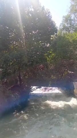The video shows a fast-flowing river passing under a bridge with lush green trees on the bank. The sun is shining brightly, casting rays through the leaves of the trees. There are a few people visible on the bank near the bridge. The water appears murky and turbulent, indicating a strong current. The overall scene is one of natural beauty, with the river and trees creating a serene atmosphere.