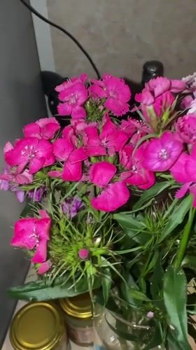 Colorful flower bouquets documented indoors in Sirius, Russia