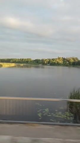 A video taken from a moving vehicle shows a wide river bordered by trees and a cloudy sky. The river is calm and reflects the sky. On the right side of the frame, there is a low stone wall with decorative pillars. Green grass and bushes are visible in the foreground, blurred due to the movement of the vehicle. The video captures the serene landscape of a riverside area.