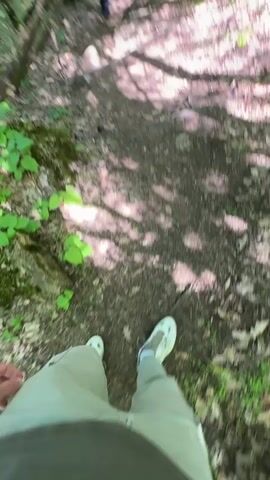 A first-person perspective video follows a woman walking down a forest path. The path is narrow, dirt-covered, and has exposed tree roots. Sunlight filters through the trees, creating dappled shadows on the ground. The surrounding forest is dense with green trees and vegetation. A rustic wooden fence runs along the side of the path. The woman ahead is wearing a striped shirt, black pants, and a small white backpack. She is walking at a steady pace, slightly ahead of the camera. The person holding the camera is wearing beige pants and white sneakers. The movement of the camera suggests they are walking briskly.