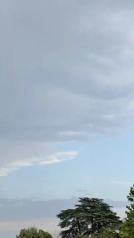 The video shows a cloudy sky above trees. It is a vertical shot looking up from below. There are faint streaks visible in the air, possibly indicating rain or dirt on the lens.