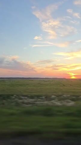 The video shows a sunset over a vast, green field. The sky is a gradient of blues and oranges, with wispy clouds catching the light. The sun is a bright orb on the horizon, casting a warm glow over the landscape. The field appears to be covered in crops or tall grass, with a line of trees or shrubs in the distance. The perspective suggests the video was filmed from a moving vehicle, possibly a car, as indicated by the slight blur and the sense of motion. There are no people or specific objects clearly visible in the frame, only the natural scenery. The overall impression is one of peace and tranquility.