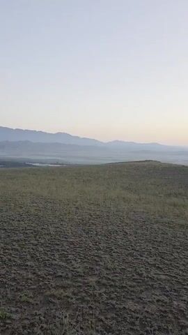 A vertical video pans across a grassy hillside towards a hazy valley with mountains in the distance. The sky is a pale gradient of blue and white, suggesting early morning or late evening. The foreground is dominated by dry, low-lying vegetation. The middle ground features a gentle slope leading down to a misty valley where a body of water and possibly a small settlement are visible. A range of soft, blue-hued mountains forms the backdrop, their peaks indistinct due to the atmospheric haze. No people or animals are visible.