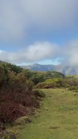 The video shows a landscape with a mountain range partially obscured by clouds and fog. In the foreground, there is a grassy area with patches of green and brown vegetation. The camera pans across the scene, revealing a dirt path leading further into the landscape. The sky transitions from blue with white clouds to a dense, overcast white.