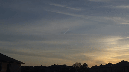 Gatineau resident documents dawn balcony moments with cat, plants