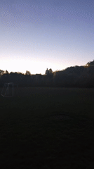 Evening scenes documented in Ternopil: soccer field, indoor cat