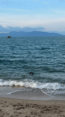 Beach wedding ceremony held in Baan Mae Nam, Thailand