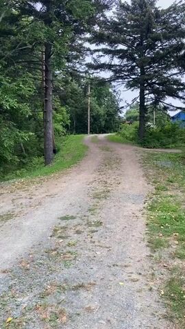 A dirt road curves uphill and away from the camera, flanked by tall trees and lush green vegetation. On the right side of the road, in the distance, a blue building is visible among the trees. A telephone pole stands along the left side of the road. The sky is overcast.