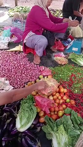 The video shows a market stall with a variety of fresh produce. In the foreground, there are piles of red onions, tomatoes, green chilies, and red chilies. There are also eggplants and Chinese cabbage. In the background, a woman wearing a hijab and a pink sweater is sitting and appears to be weighing produce on a blue scale. Another person is partially visible behind her, also engaged in market activities. The overall environment suggests an outdoor market setting, possibly in a tropical or subtropical region, given the types of vegetables displayed. The lighting is natural, indicating it is daytime.