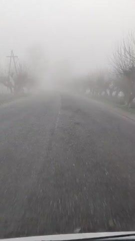 The video shows a first-person perspective of a road on a foggy day. The road is gray and appears slightly damp. A white line runs along the center of the road. On either side of the road are bare trees and what appears to be a utility pole on the left side. The fog is very thick, obscuring any distant scenery. The camera appears to be moving forward.
