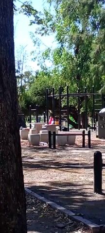 The scene is set at an outdoor exercise park. The camera is partially obscured by a tree trunk in the foreground. In the background, there's a variety of exercise equipment, including pull-up bars and monkey bars. A series of round concrete platforms with red accents sit in the center of the frame. There is a person seated on one of these platforms, wearing a white shirt with a red collar. The environment includes trees and other foliage, adding a natural backdrop. The ground appears to be covered with wood chips or a similar loose material. The overall lighting indicates it is daytime.