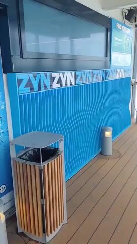 The video shows a view from an indoor area looking out onto an outdoor deck. The indoor area has wooden flooring, a trash can with a metal top and wooden slats, and a blue wall with a wave-like pattern and the word ZYN repeated multiple times. To the left, there is a blue poster with icy blue graphics and text, including the word ZYN in a circle. There is also a large window with a blue tint. The outdoor area appears to be a deck on a ship, with metal railings and a wooden deck. There are several cylindrical light fixtures on the deck, and a long wooden bench. In the distance, a person in a light-colored t-shirt and shorts is walking away from the camera. The sky appears overcast.