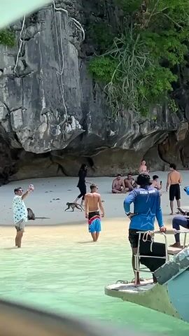 A group of people are on a sandy beach in front of a large rock face. Some are in the shallow water, while others are on the sand. One person in the foreground is wearing a blue shirt and black shorts, standing on a boat. Another person in a floral shirt is taking a selfie with a monkey nearby. Several other people are scattered on the beach, some sitting and some standing. Two monkeys are visible on the sand. The water is clear and turquoise, and lush green vegetation grows on the rock face.