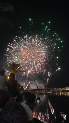 This video captures a fireworks display at night. Several people are visible in the foreground, silhouetted against the light of the fireworks. They appear to be seated or standing, facing the display. One person in the middle foreground is holding up a phone, presumably to record the event. In the background, fireworks are exploding in various colors, including white, red, gold, and green. The reflections of the fireworks can be seen on the surface of a body of water in the lower right portion of the frame. A palm tree is visible to the left of the frame, and a bridge or structure can be seen in the distance. The overall atmosphere is festive.
