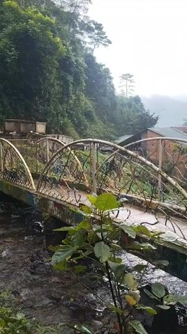 A video begins with a shot of a bridge crossing a stream in a lush, green environment. The bridge has decorative metal railings and appears to be made of concrete. Plants grow around the bridge and stream. In the background, there are buildings and more vegetation on a hillside. The sky is overcast. The video is static and shows no movement.