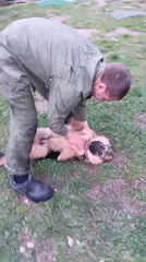 Family conducts routine yard work with dogs in Andreyevo