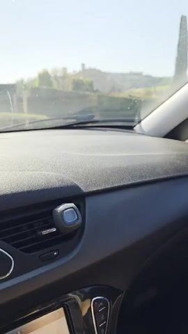 The video shows a first-person perspective from inside a moving car, looking out the passenger side window and occasionally across the dashboard. The car's black dashboard and door panel with a chrome handle are visible. Outside the window, a sunny landscape passes by, including a road, a tall cypress-like tree, green hedges, a house with a tiled roof, a large wooden gate with stone pillars, and an olive tree. The car's side mirror reflects the road and scenery behind the vehicle. The sky is clear and blue.