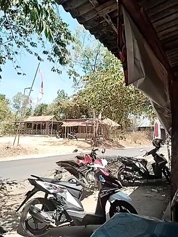 The video pans across a roadside scene, offering glimpses of parked motorcycles, a tree adorned with plastic bags, and a simple wooden structure. In the foreground, several motorbikes are visible, some with helmets placed on them. The environment appears to be rural or semi-rural, with trees, dirt roads, and a clear sky. The wooden structure, possibly a shelter or a small shop, has supporting posts, one of which is painted with red and white bands. The camera moves to reveal more of the surroundings, including a road leading away from the scene and distant vegetation. The overall impression is one of a casual, outdoor setting, possibly a rest stop or a small business along a road.