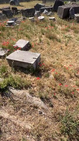The video shows a close-up view of ancient ruins. Large stone blocks, some weathered and broken, are scattered across a dry, grassy field dotted with small red flowers, likely poppies. In the background, more ruins are visible, including what appears to be a partial structure with columns. Beyond the ruins, a distant landscape with hills and a hazy sky can be seen. The lighting suggests it is a sunny day.