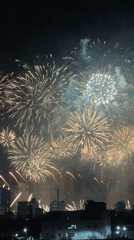 Fireworks Display Lights Up Đà Nẵng Night Sky