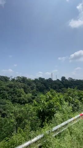 The video captures a view from a moving vehicle on a road bordered by lush green vegetation. The sky is a vibrant blue with scattered white clouds. In the distance, a dense forest covers rolling hills. Several tall towers, likely telecommunication or power pylons, are visible above the treeline. A curved road sign indicating a sharp turn to the right is positioned along the roadside. Later, a lamppost with a small rectangular sign attached appears. The camera pans, revealing more of the forest and sky, with occasional glimpses of buildings nestled within the landscape. The road surface appears to be asphalt, with a gravel shoulder. The presence of some litter on the shoulder suggests human activity in the area. The lighting indicates it is daytime, with sunlight breaking through the clouds.