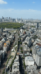 Dawn aerial views and rooftop activity observed in Shibuya