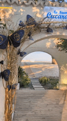 Summer evening on Constanța's beachfront promenade