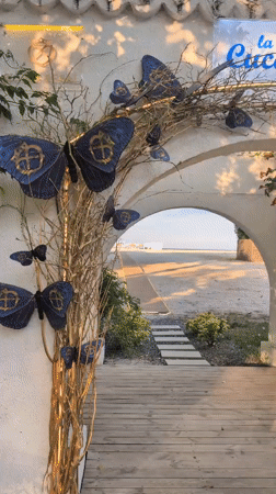 Summer evening on Constanța's beachfront promenade