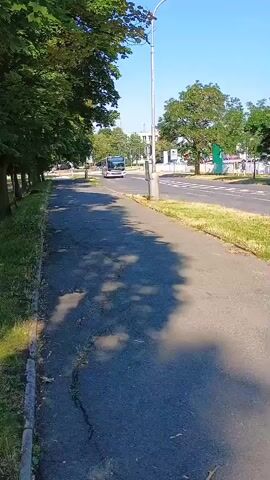 A bus drives down a street with trees and grass lining the side of the road. A pedestrian path is visible in the foreground. The sky is clear and blue.