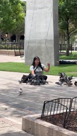 A person sits on the ground in a paved outdoor area, surrounded by a flock of pigeons. The person is wearing a gray t-shirt and dark pants, and has dark hair. They are looking down at the pigeons, and appear to be interacting with them, possibly feeding them. A black backpack is placed behind them. The pigeons are gathered around the person, with some perched on their lap and arms, and others pecking at the ground nearby.

The scene is set in a park-like environment with a large concrete pillar in the background, and trees and grass visible. The ground is paved with light-colored stones and there are planters with metal railings in the foreground. The lighting suggests it is daytime, likely sunny, given the shadows. In the far background, on the grass, a person appears to be lying down.

The overall atmosphere seems peaceful, with the person calmly interacting with the birds. The location appears to be a public space, possibly a plaza or park in a city. There is no visible text in the media file.