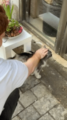 Ordinary Saturday afternoon life unfolds across Tel Aviv-Yafo