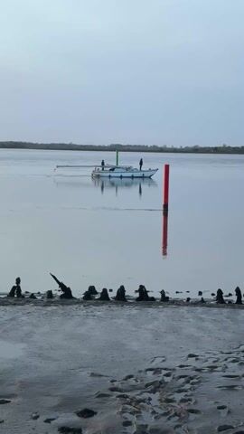 The video shows a white sailboat on a calm body of water, presumably a river or bay. There are two people on the boat. A red navigational marker stands in the water near the boat. The shoreline in the foreground is muddy with wooden pilings or remains of an old structure sticking out of the mud. The sky is overcast and the overall lighting suggests either early morning or late afternoon.