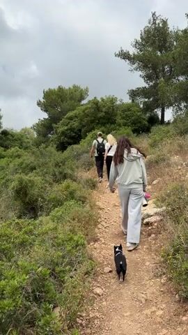 Four people, one of whom is a dog, walk along a rocky trail. Two adults walk ahead, followed by an adult woman and a small black and white dog. The path is surrounded by green vegetation on either side, and trees rise in the distance. The sky is overcast.