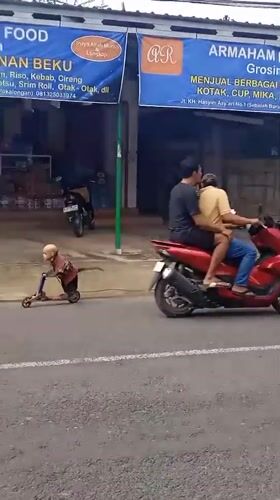 Motorcycle rider passes plastic shop, monkey rides scooter in Winong