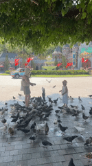Early morning theme park visit captured by witnesses