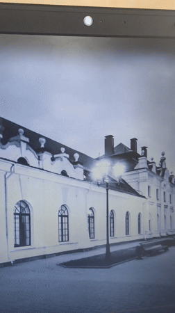 Belarus resident documents laptop screen and seedling growth